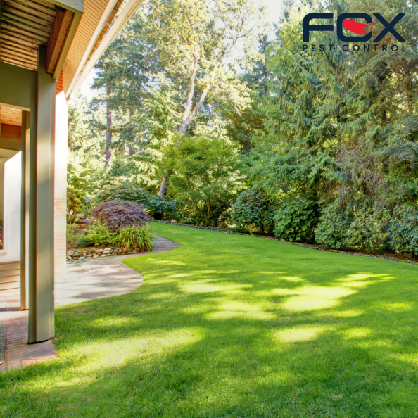 pest control cleaning schedule
pest control cleaning checklist 
how to prevent spring pests
keep spring bugs away
